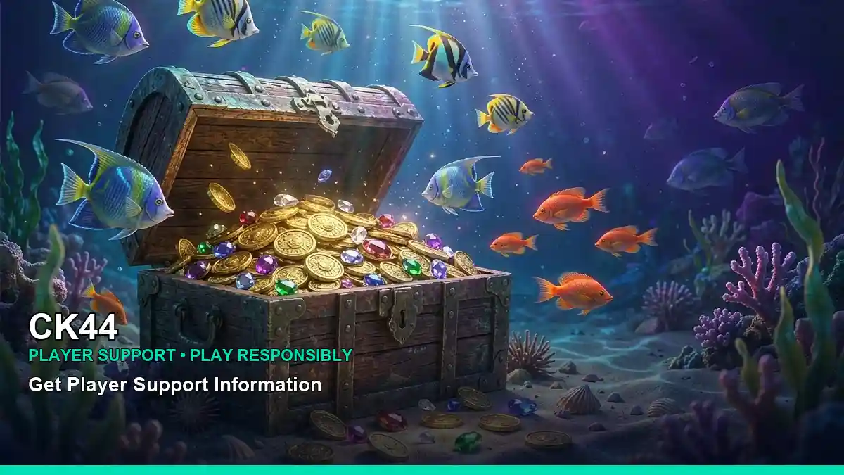 CK44 প্লেয়ার সহায়তা ও responsible gaming | Bangladesh guide — account safety details · 2 — joker poker